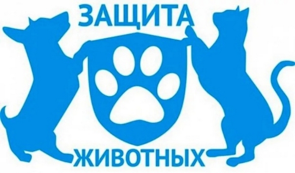 4 октября "День защиты животных"