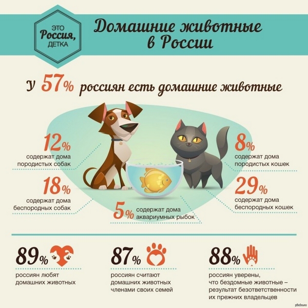 Владельцам домашних животных к исполнению!!!