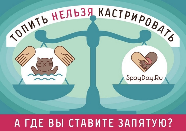 Хирургический марафон SpayDay.ru 2019