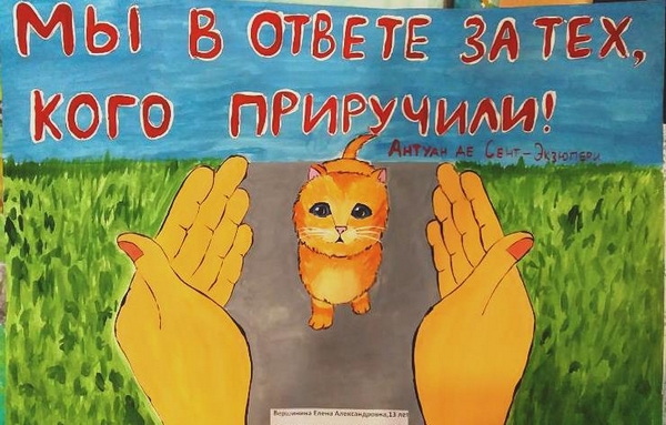 в 31