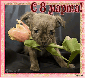 8 марта 2015 - режим работы
