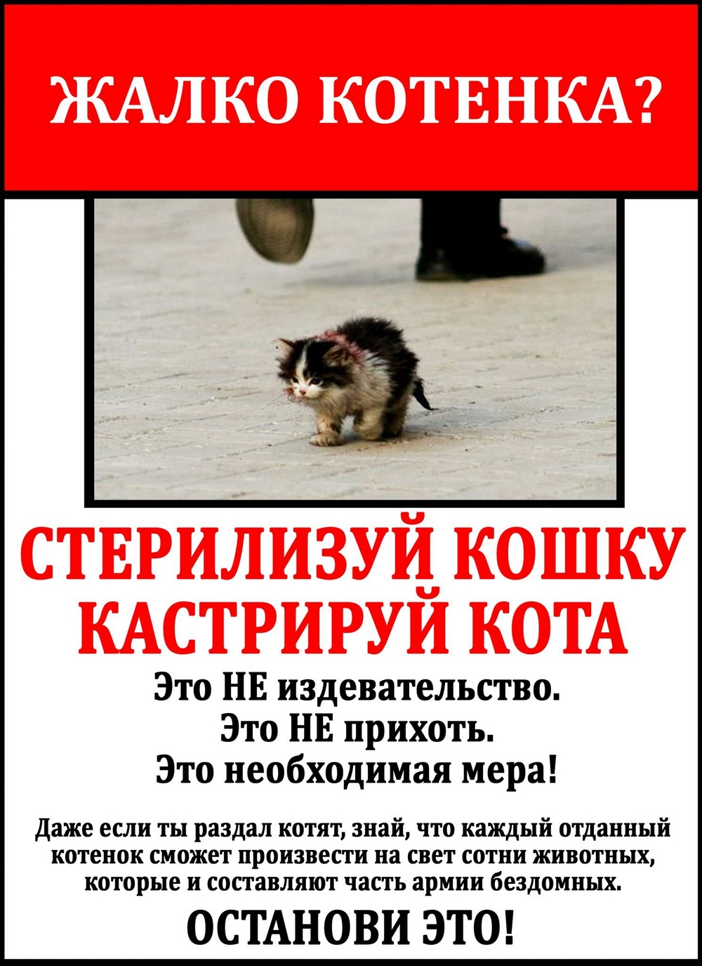 Готовьтесь -  АКЦИЯ!