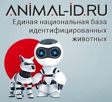 Чипирование животных - как это происходит?