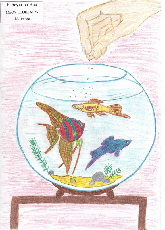 Барсукова Яна, 7 школа