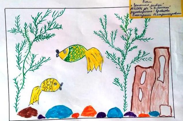 д 79
