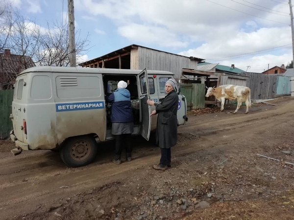 ВНИМАНИЮ владельцев с.х. животных начинаются осенние противоэпизоотические  мероприятия