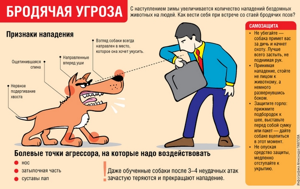 ПАМЯТКИ владельцам животных, пострадавшим от животных, пострадавшим при отлове