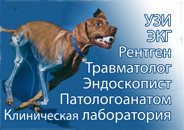 ЧАСЫ РАБОТЫ по УЗКИМ НАПРАВЛЕНИЯМ в ОГБУ УИ СББЖ.