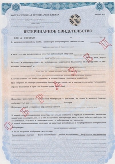 лицевая сторона